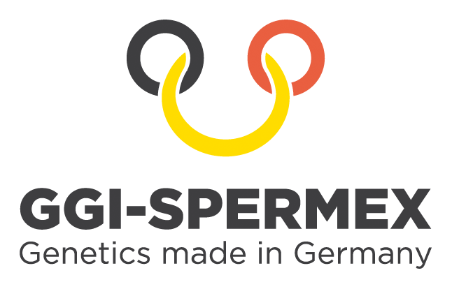 logo_ggi